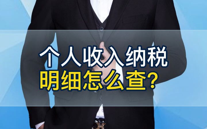 个人收入纳税明细怎么查?哔哩哔哩bilibili