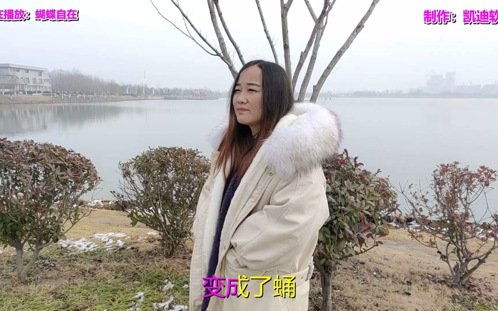 [图]《蝴蝶自在》欣赏，类似音悦台的软件 高清mv