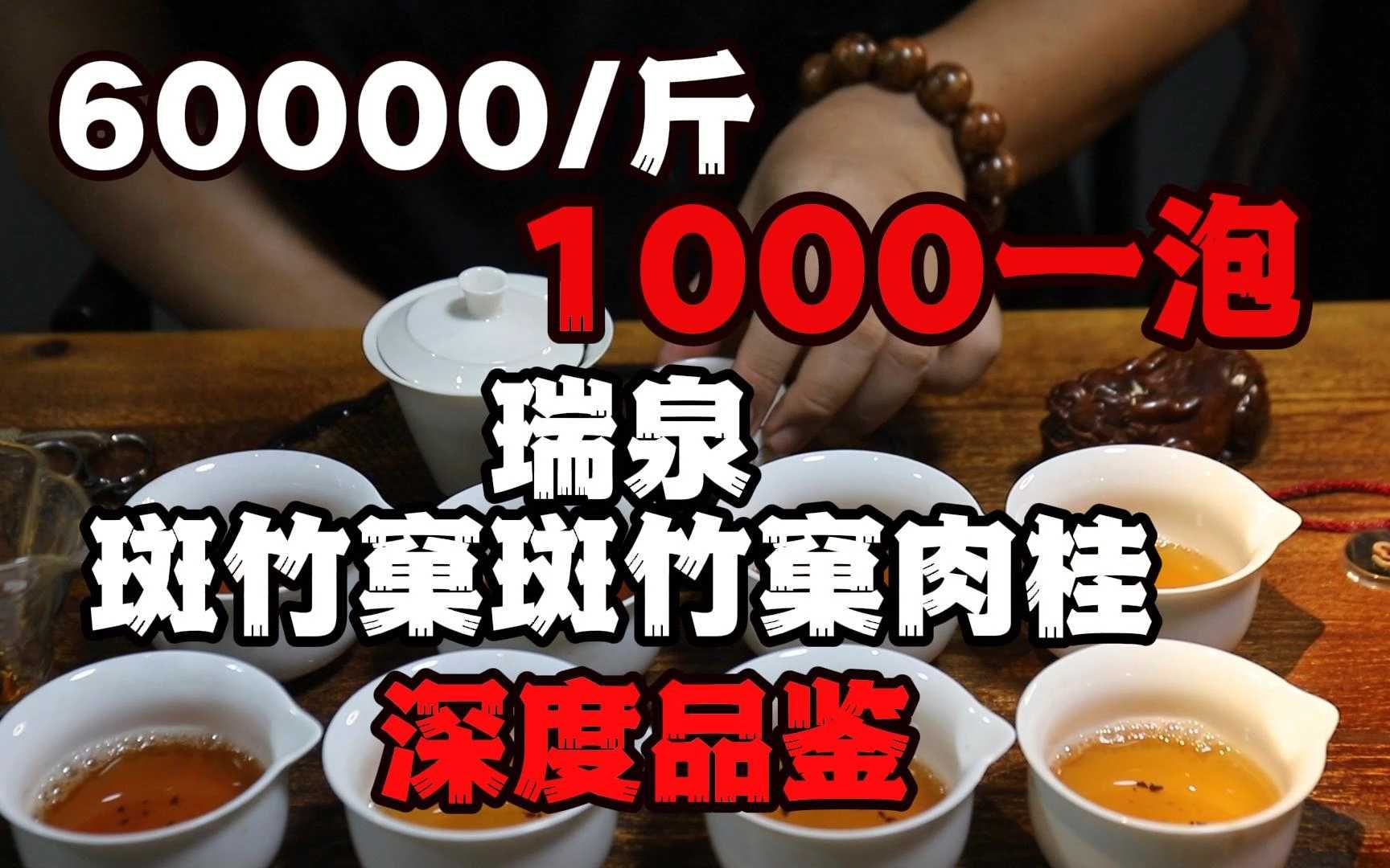 6万一斤!1000一泡!瑞泉天花板斑竹窠肉桂深度品鉴哔哩哔哩bilibili