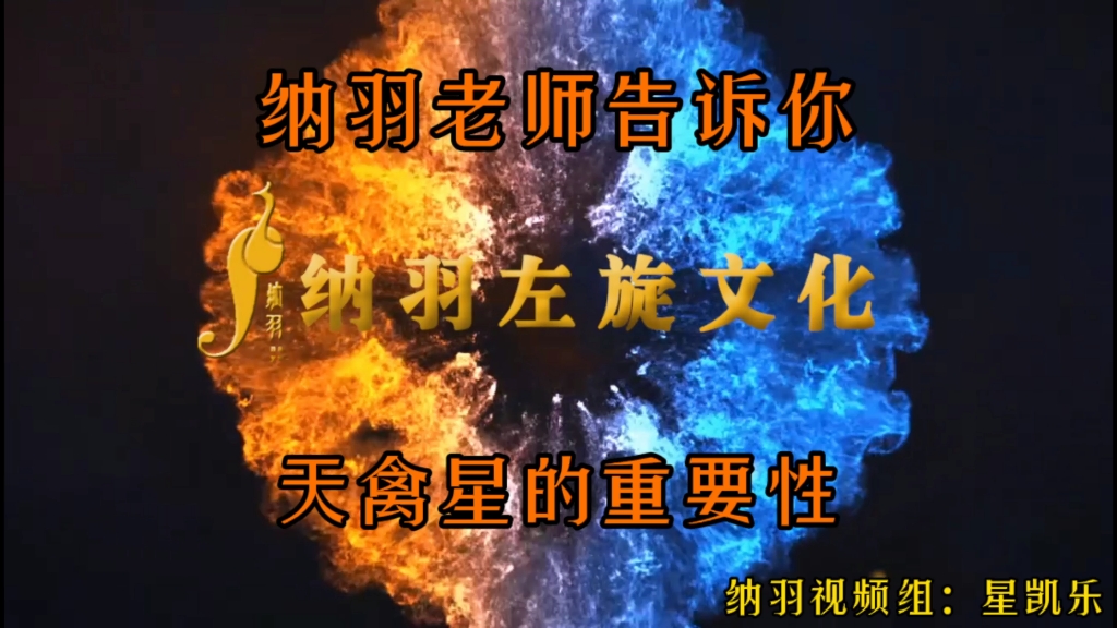 “天禽星”是什么,您知道吗?纳羽老师告诉您它的重要性哔哩哔哩bilibili