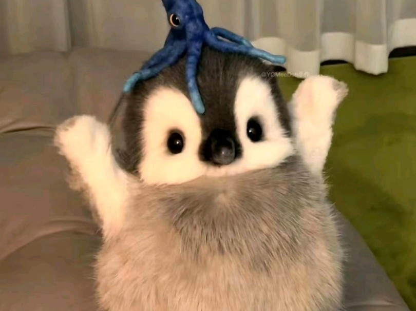 小企鹅可爱头像