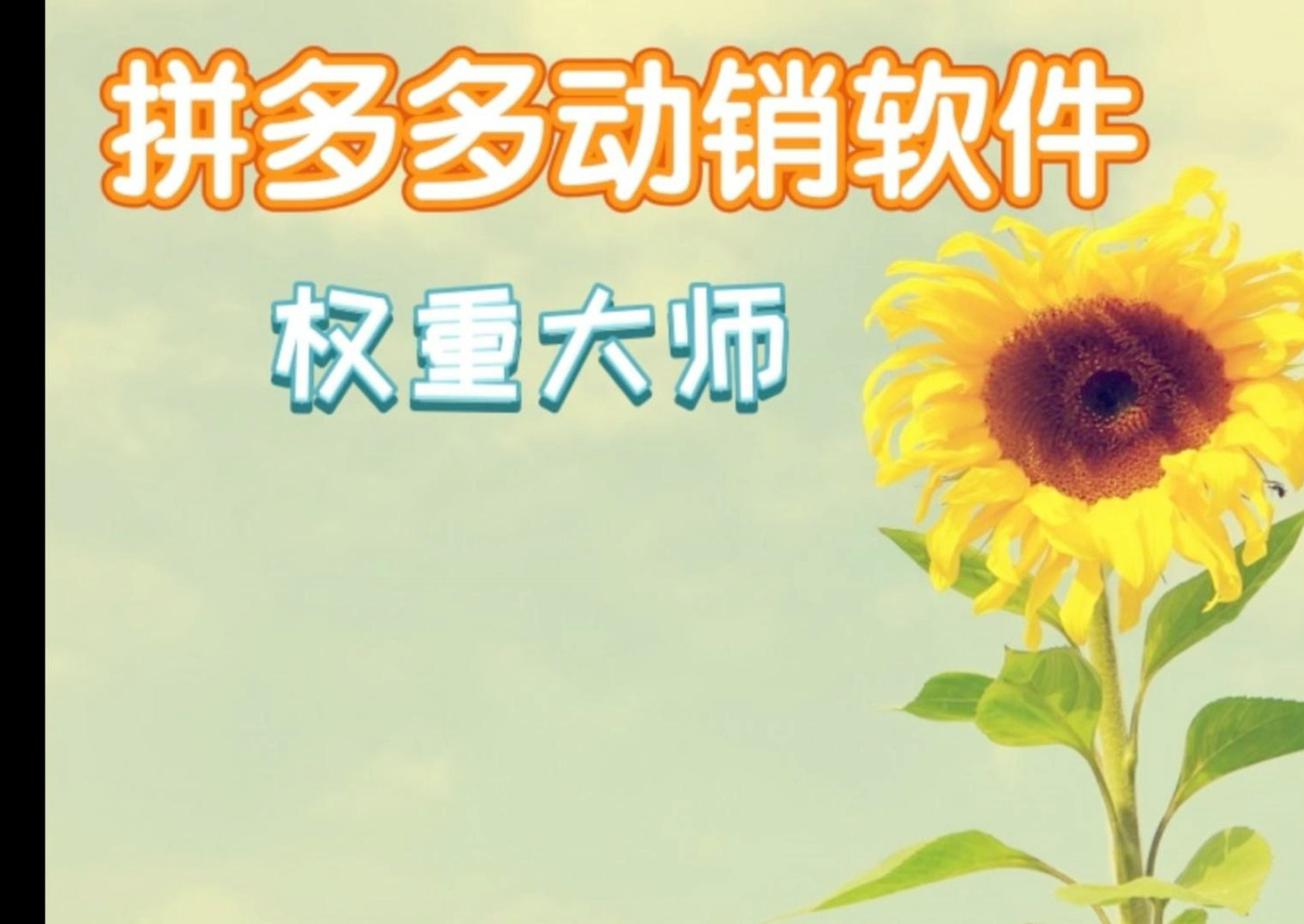 权重大师——拼多多动销初评软件,安全稳定易操作,秒变百万,助您快速