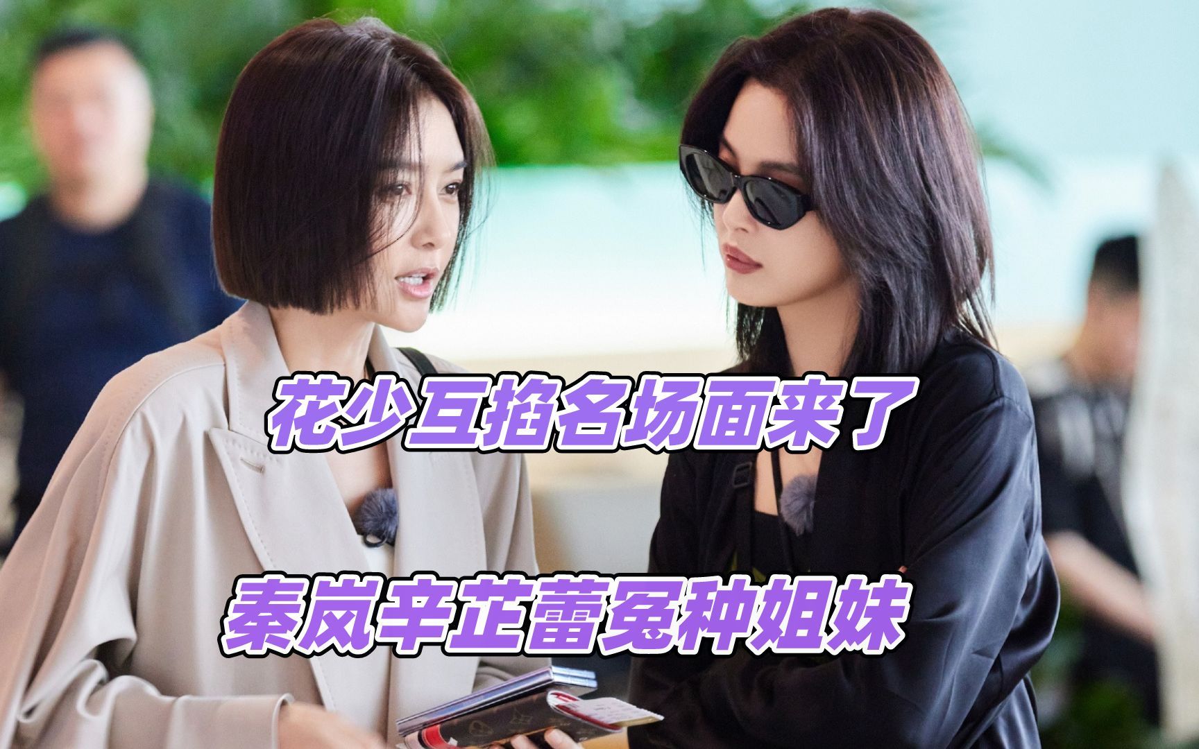 花少互掐名场面来了,秦岚辛芷蕾冤种姐妹