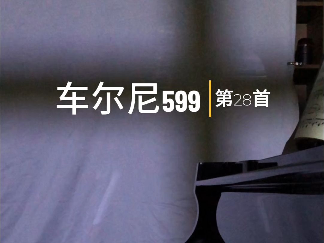 车尔尼599第28图片