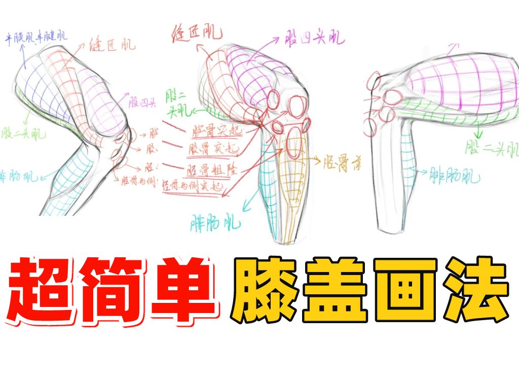 99%新手都不会画的膝盖!教你站/蹲/坐的膝盖画法!【板绘教程|插画教程】哔哩哔哩bilibili