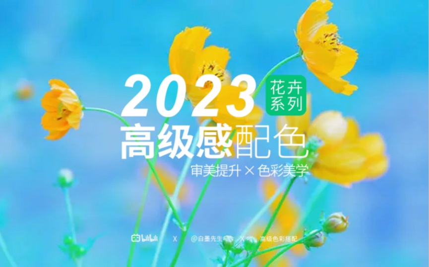 夏季多巴胺色彩搭配|2023高級感色彩美學搭配|國際時尚潮流色