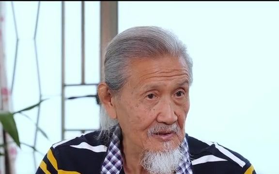 85岁民国爷爷陆天龙 41集:偶然的机会参加欧洲王室的