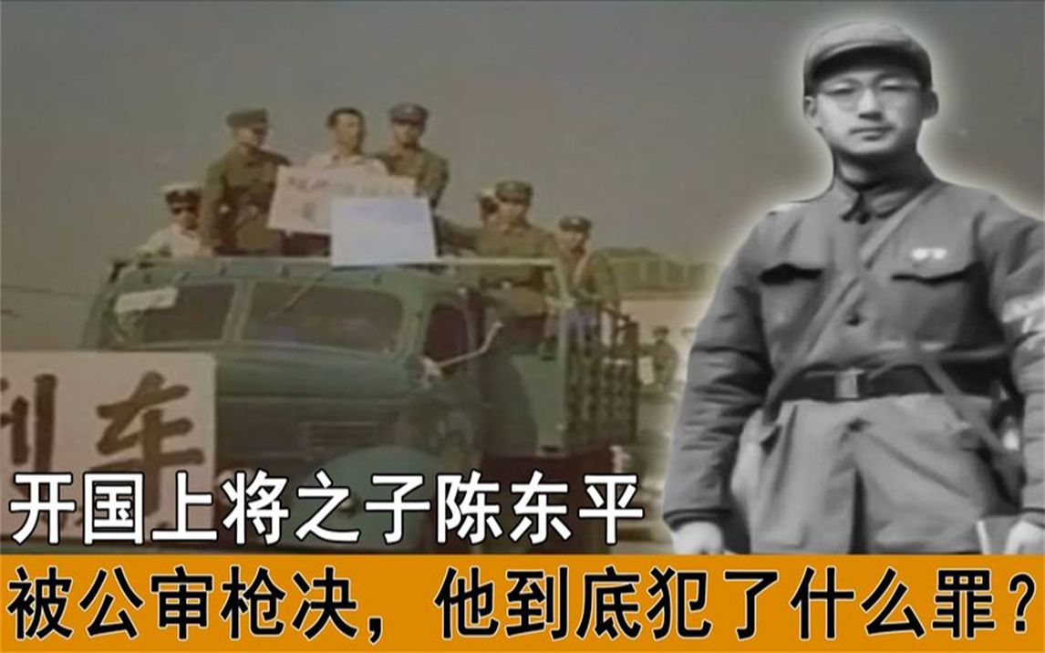 1984年开国上将之子陈东平,在洛阳被公审枪决,他到底犯了什么罪哔哩哔哩bilibili