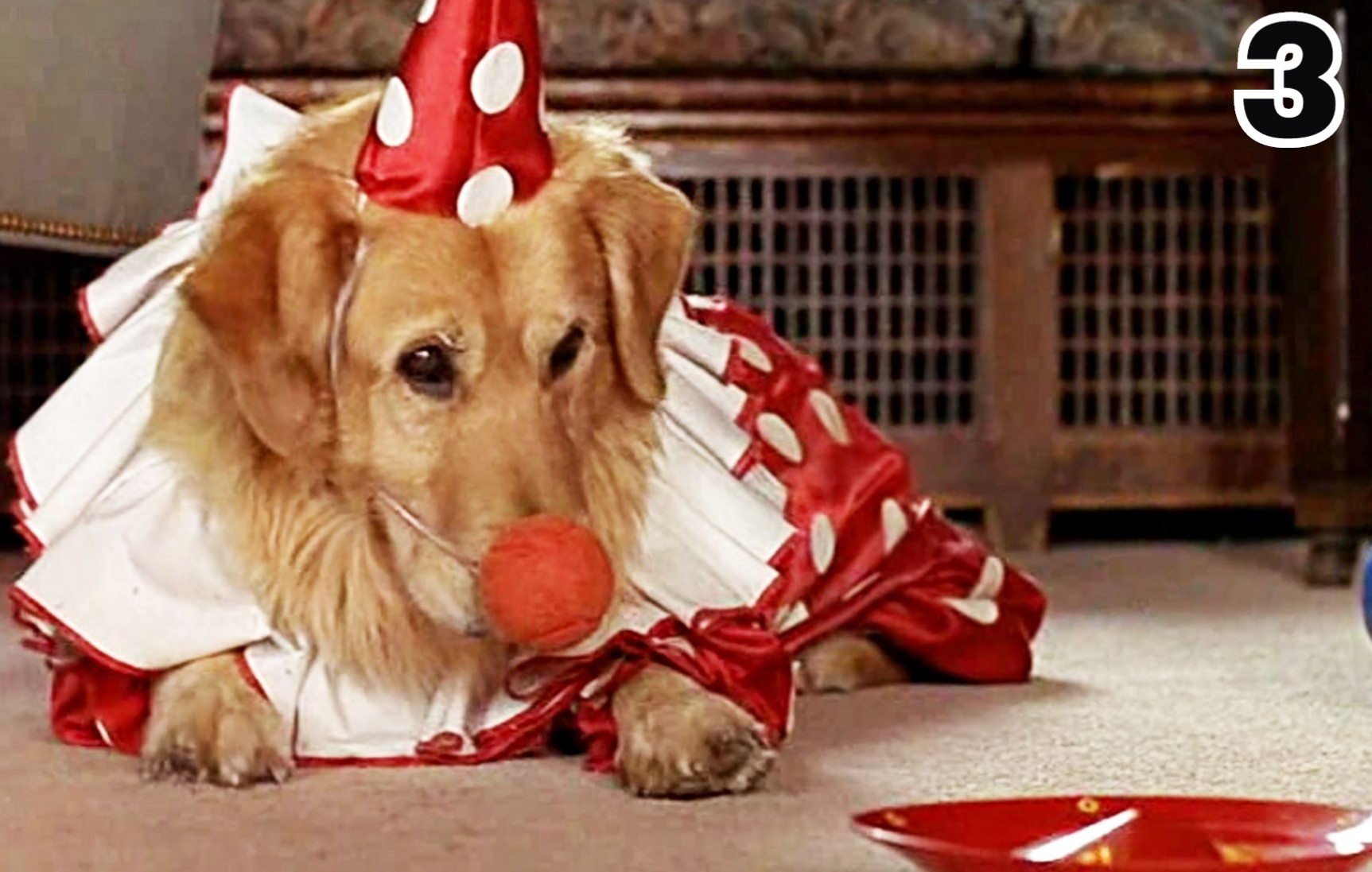 让爱回家,让爱属于他 《飞狗巴迪》