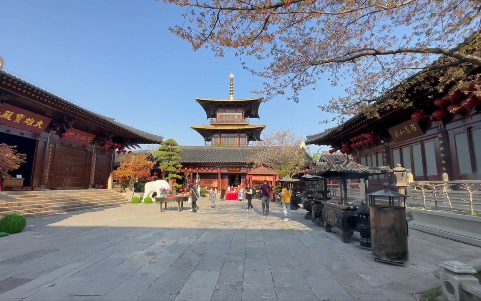 上海广富林知也禅寺漫游随拍