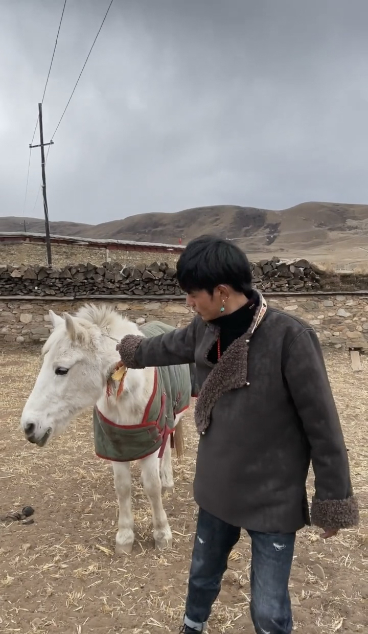 今晚八点丁真在快手直播还有福利哟