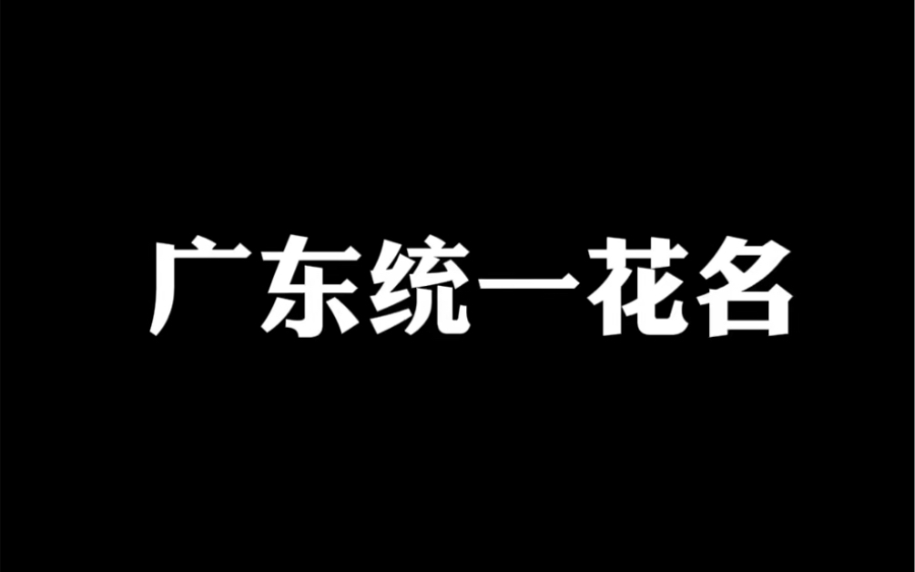 [图]广东统一花名