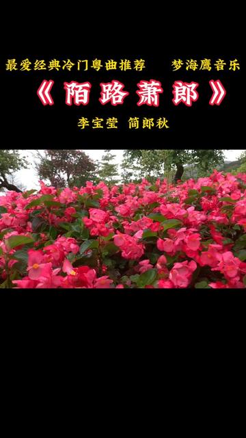 [图]#茫茫人海遇到就是缘分 #粤韵风华 #精选好歌 #聆听天籁之音 #歌曲旋律动听优美