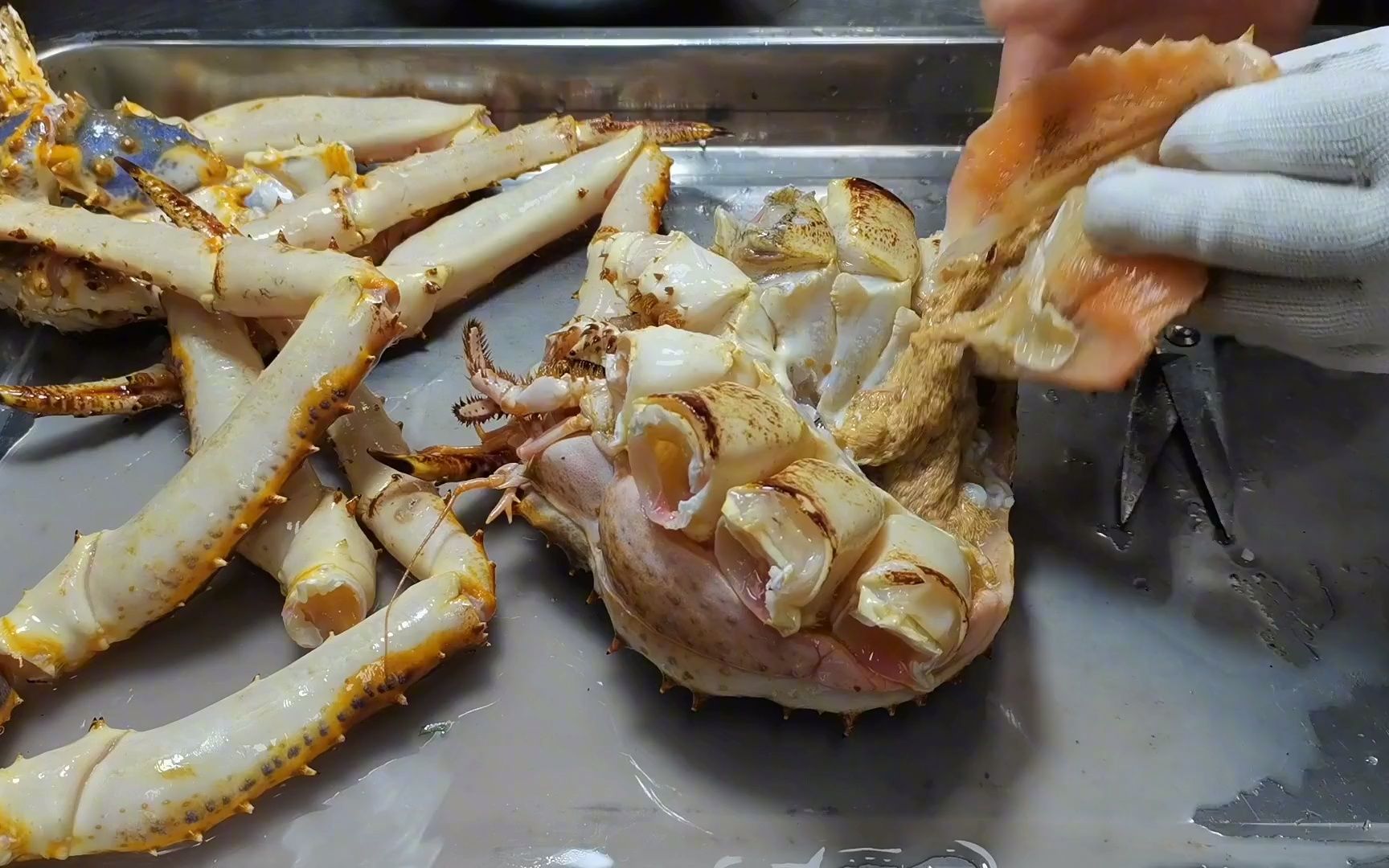 如何处理深海大货帝王蟹,今天从粗加工到成菜,小蔡详细讲解