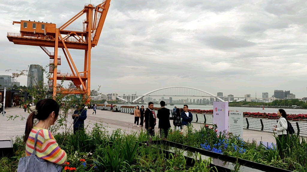 徐汇滨江,上海2024国际花展,2