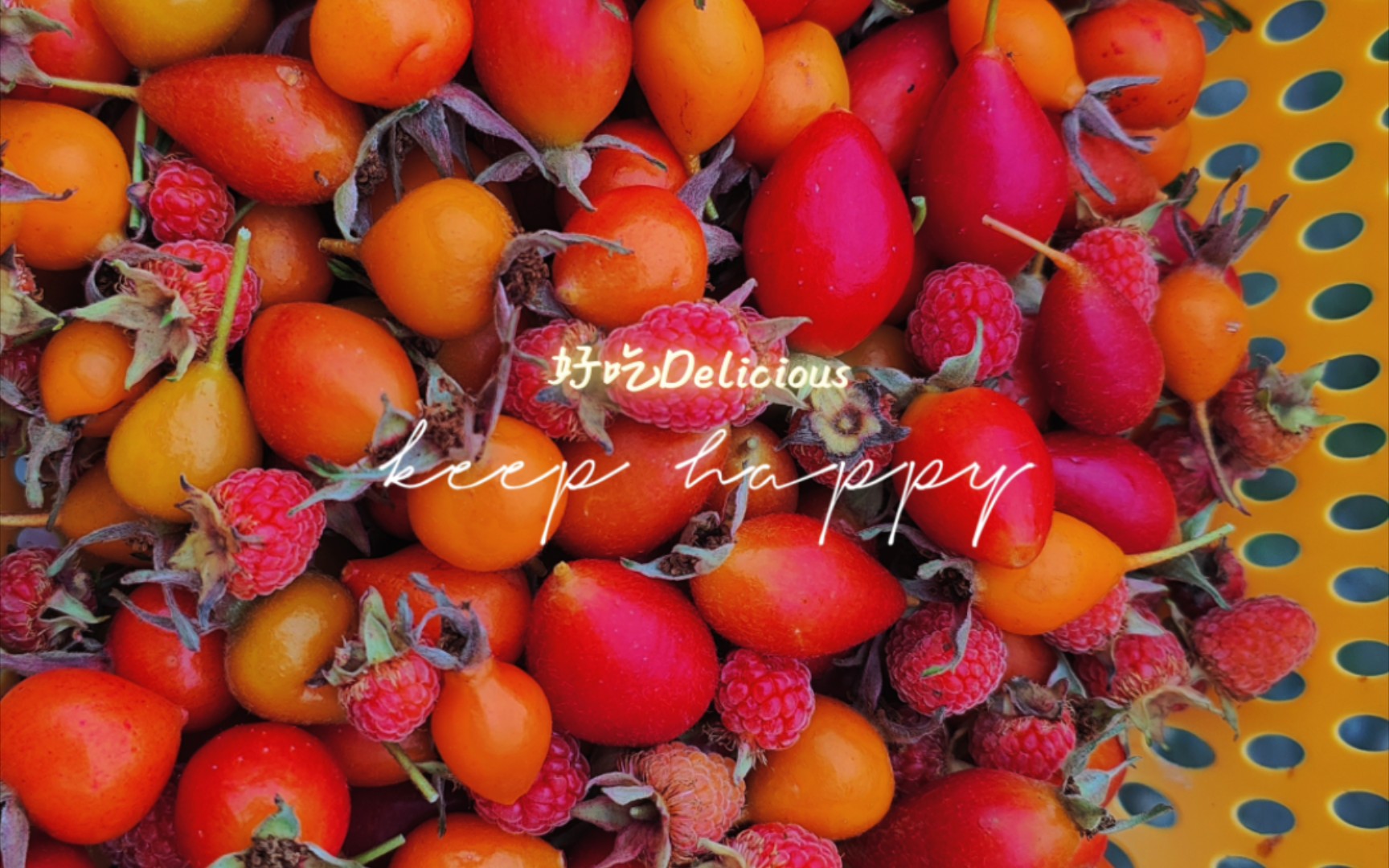 后山摘"沙糖果""牛角měng"吃