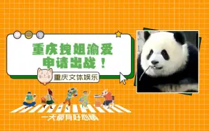 Download Video: 四川文旅派出花花？那咱重庆拽姐渝爱申请出战！#熊猫#渝爱#文旅