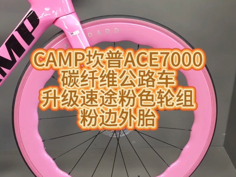 CAMP坎普ACE7000碳纤维公路车升级速途粉色轮组,粉边外胎#骑帅不骑快#公路车#骑行哔哩哔哩bilibili