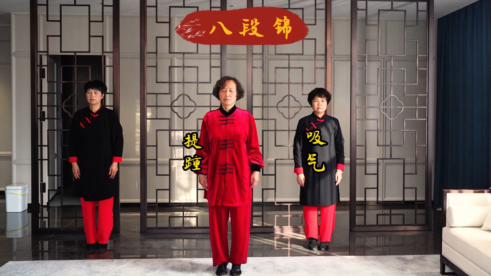 养生保健《八段锦》第八式虔玉堂老师演练