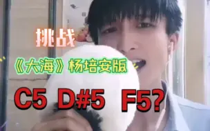 Download Video: 霄霄 完整挑战《大海》杨培安版 最长音不换气 C5 升D5 F5 全程标记音高  翻唱 高音 外加张羽式结尾 高音吧 B站最强杨版大海原调翻唱