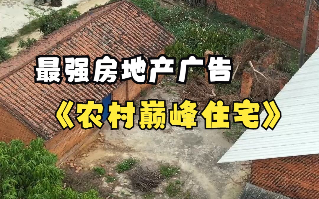 这个房地产广告太狠了,比郭德纲的相声还搞笑!