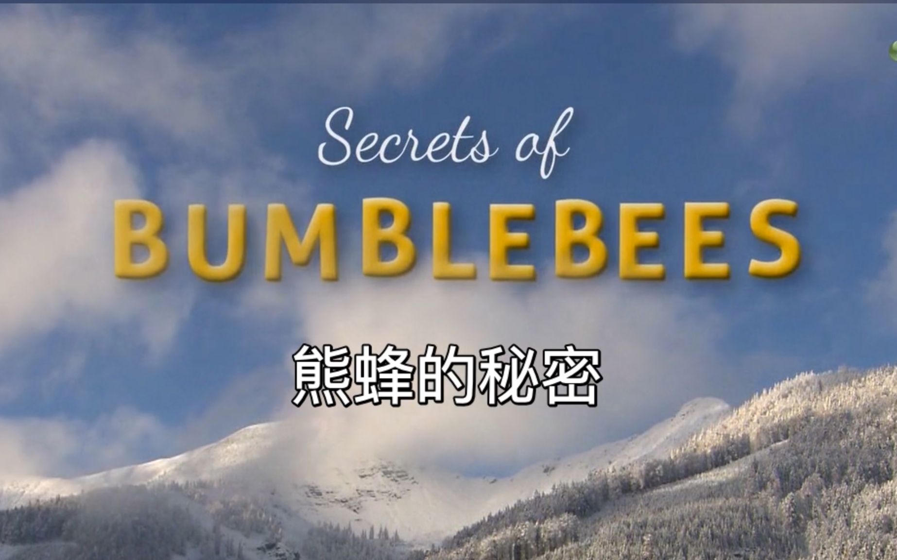 [图]【ORF】熊蜂的秘密 Secrets Of Bumblees