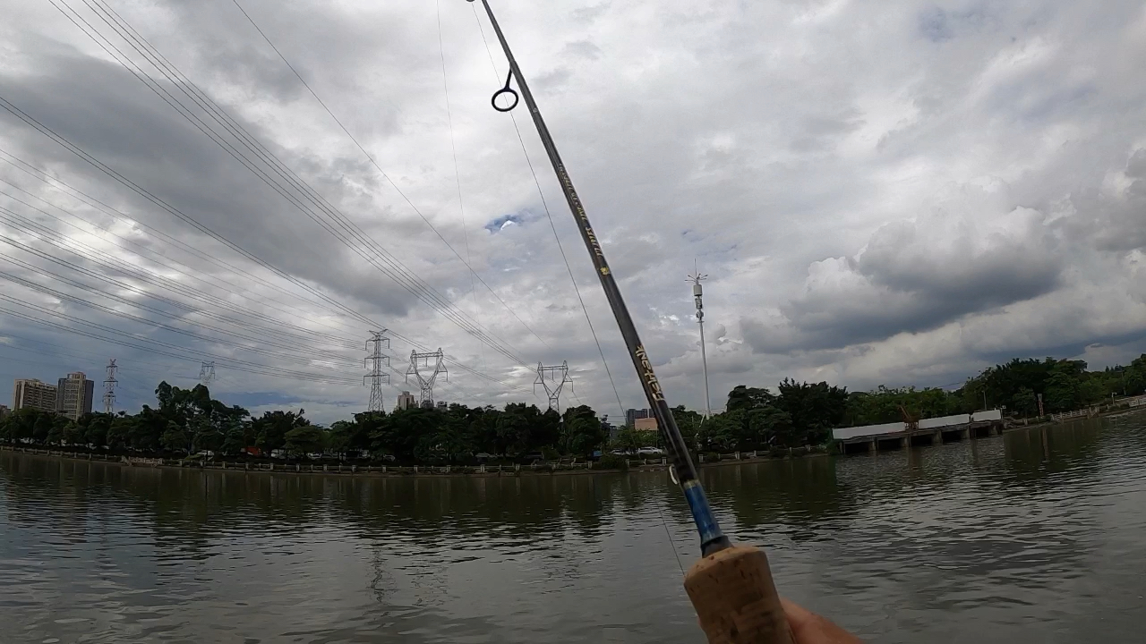 根钓淡水_哔哩哔哩 (゜-゜)つロ 干杯~-bilibili