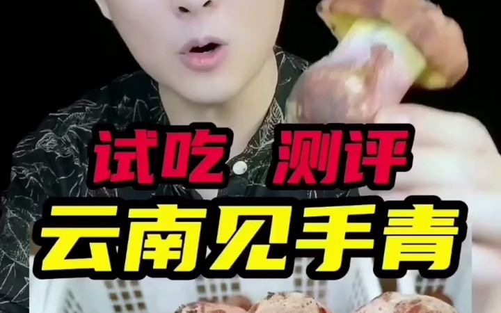 【美食盲盒】云南的手见青蘑菇好吃嘛?哔哩哔哩bilibili