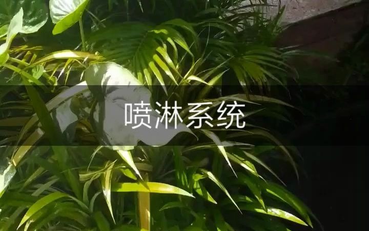 全自动 喷淋系统 养植物更容易哔哩哔哩bilibili