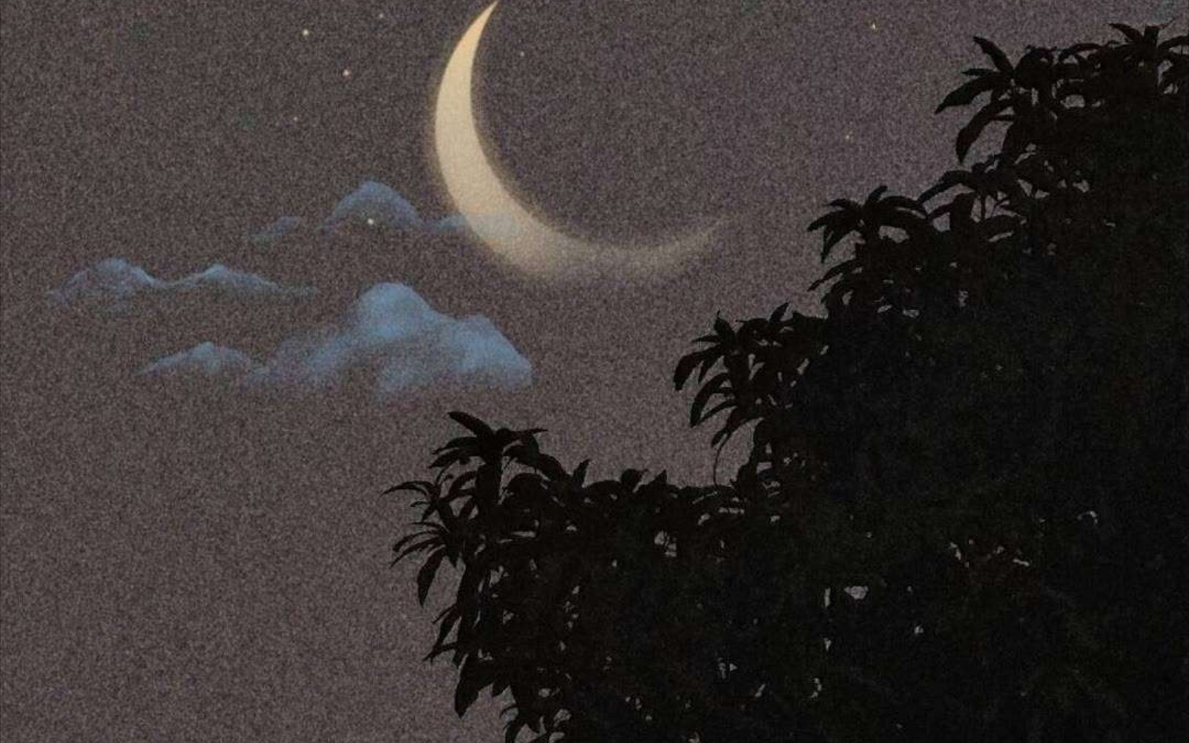 白月光应是天上月,是年少心动后能记一辈子的人