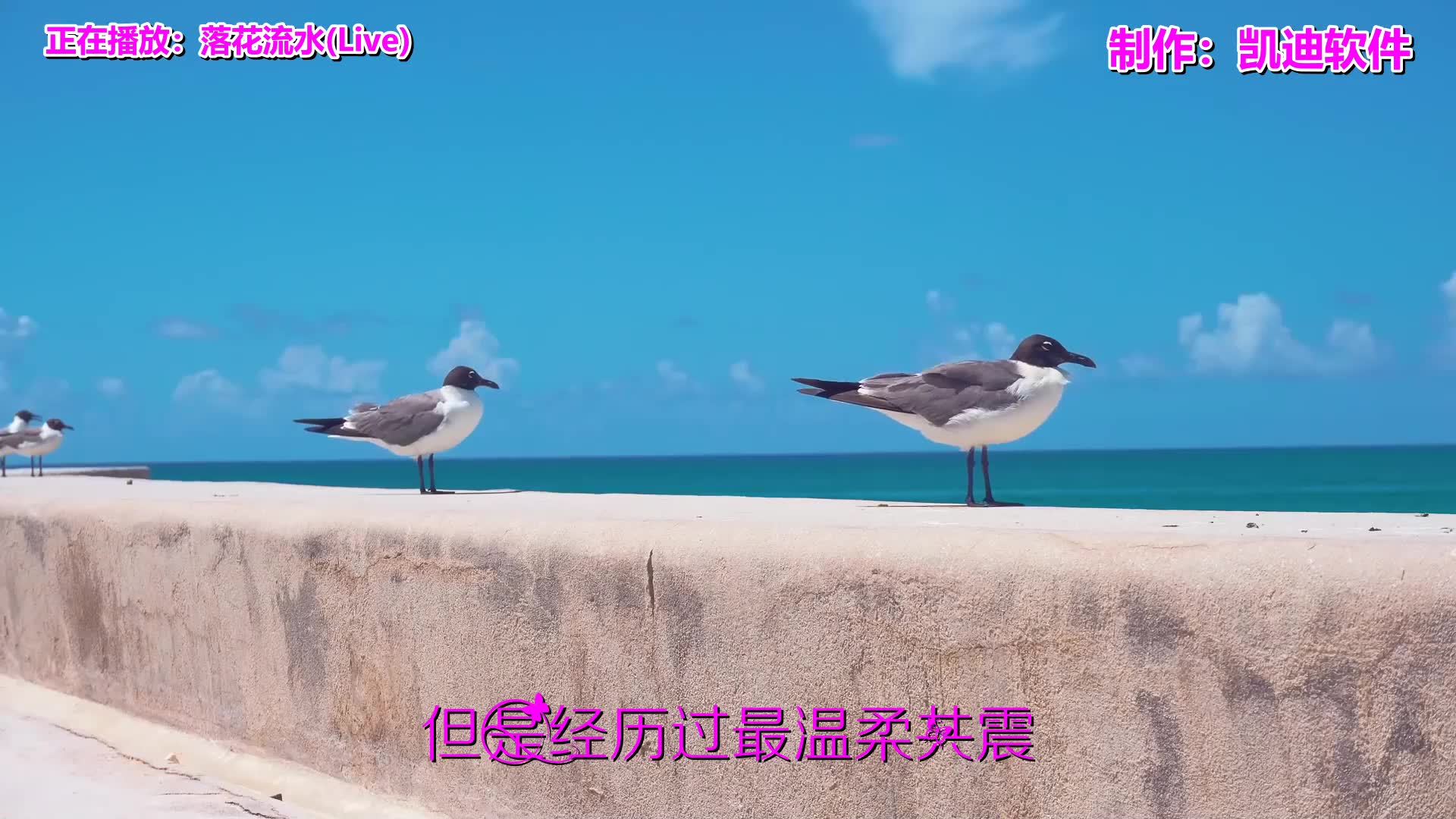 《落花流水(live)》欣赏,手机制作全民k歌mv