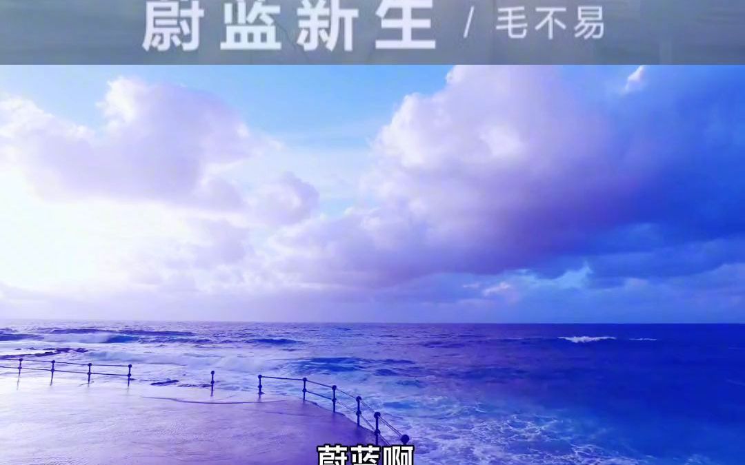 [图]毛不易[寻声蔚蓝 向海而生]世界海洋日音乐公益，蔚蓝将纯粹之美无私奉献 万物生灵倾心守护纯真模样 蔚蓝新生