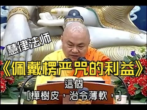 慧律法师《佩戴楞严咒的利益》哔哩哔哩bilibili