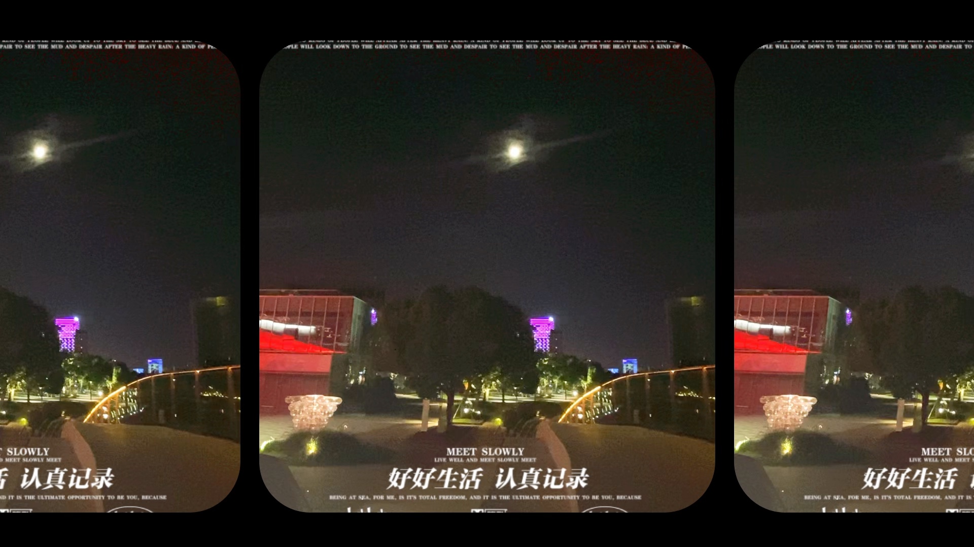 夜幕低垂,皓月当空,秋意渐浓哔哩哔哩bilibili