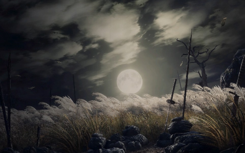 只狼开荒一周目迷路迷路