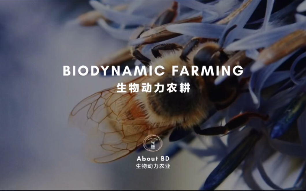 [图]/农业与生命和生活/ 自然以我们无法企及的方式在运转，但用生物动力农耕的方式去实践，会令你惊喜地发现那些看上去不可能的事情…