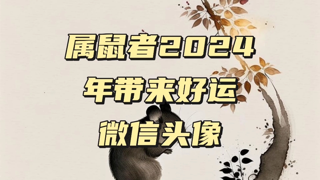 属鼠者2024年带来好运微信头像 #生肖文化#属鼠微信头像#传统文化哔哩哔哩bilibili