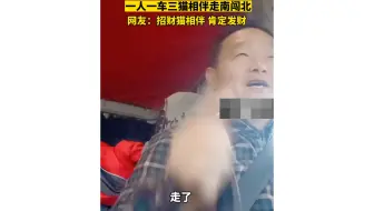 一人一车三只猫，愿一路平安！