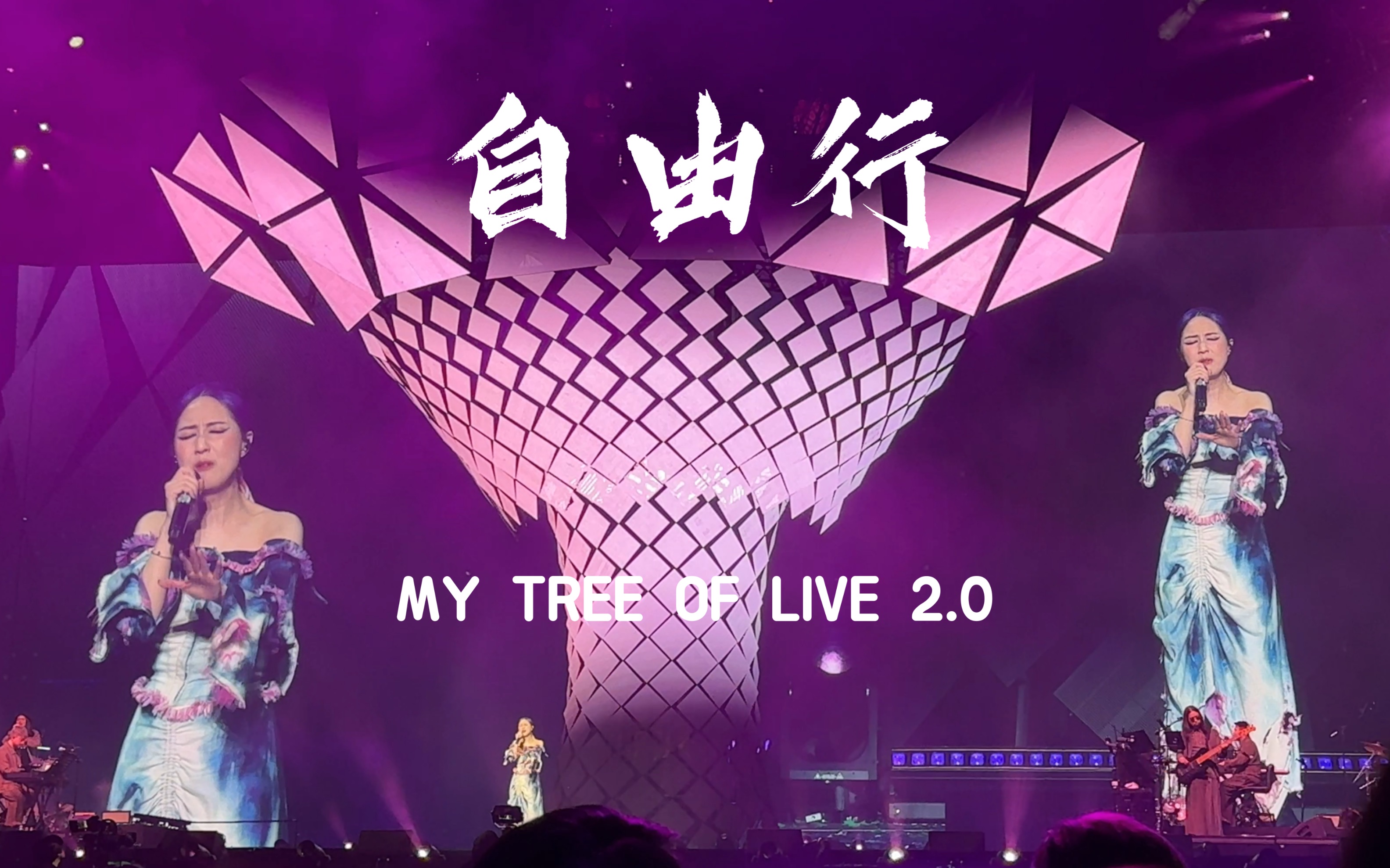 杨千嬅 自由行 澳门站2024