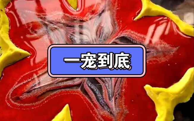 一宠到底哔哩哔哩bilibili