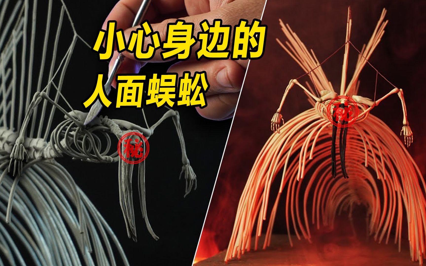 模型巨型蜈蚣没有你想象的那样可怕人家还是个小姐姐