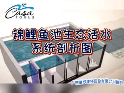 Скачать видео: 锦鲤鱼池生化过滤工程剖析详解 #庭院景观# #鱼池过滤# #锦鲤池# 鱼池生态活水系统