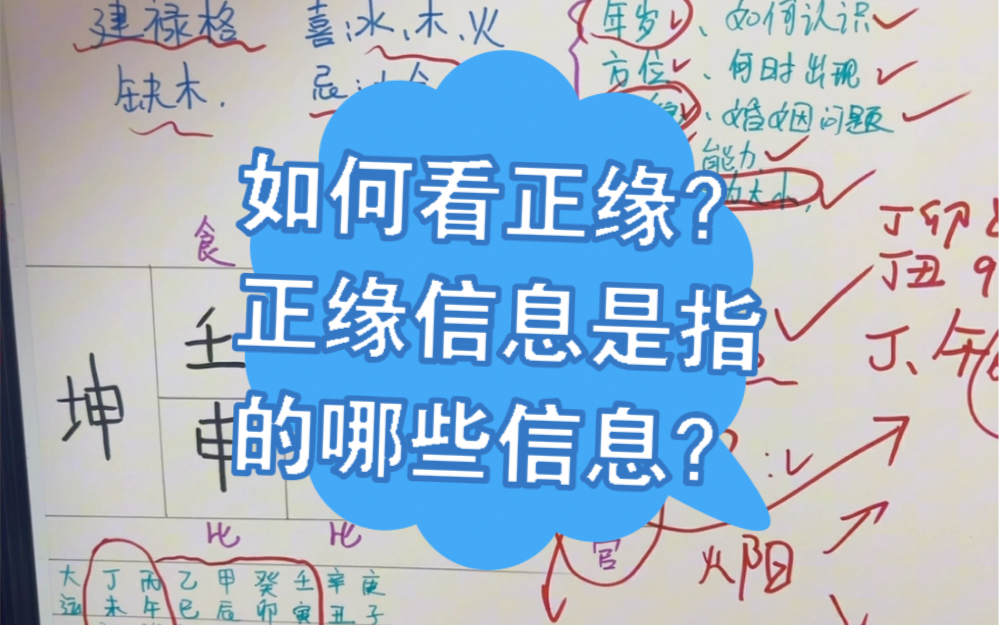 如何看正缘,正缘信息指的是哪些信息?哔哩哔哩bilibili