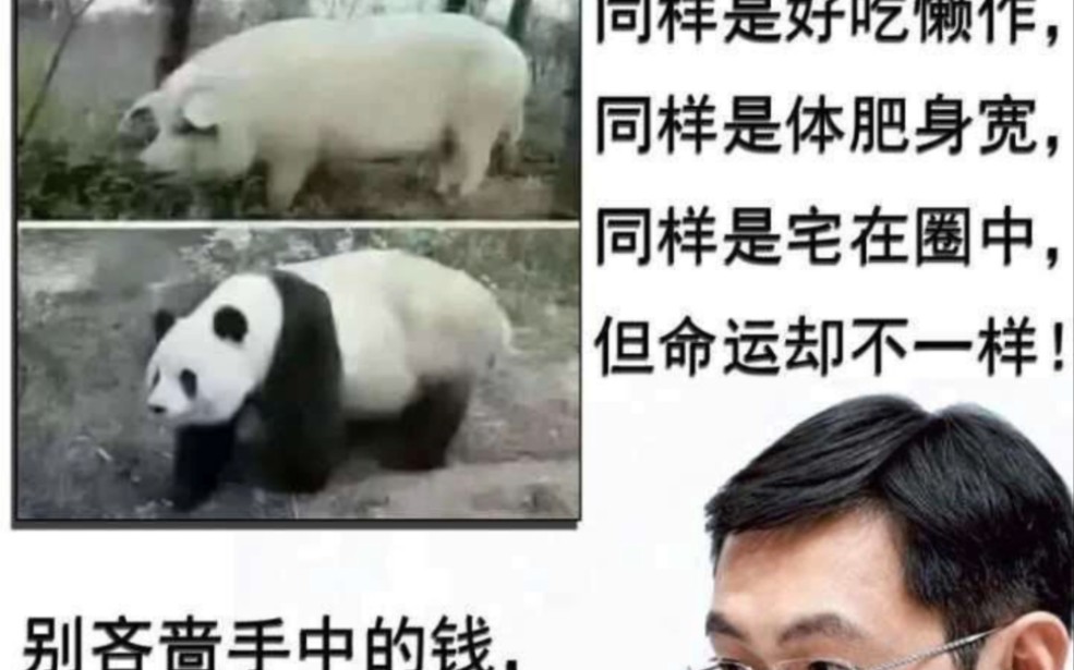 [图]《网络热图》70