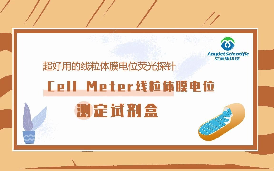 超好用的线粒体膜电位荧光探针——Cell Meter 线粒体膜电位(MMP)测定试剂盒哔哩哔哩bilibili