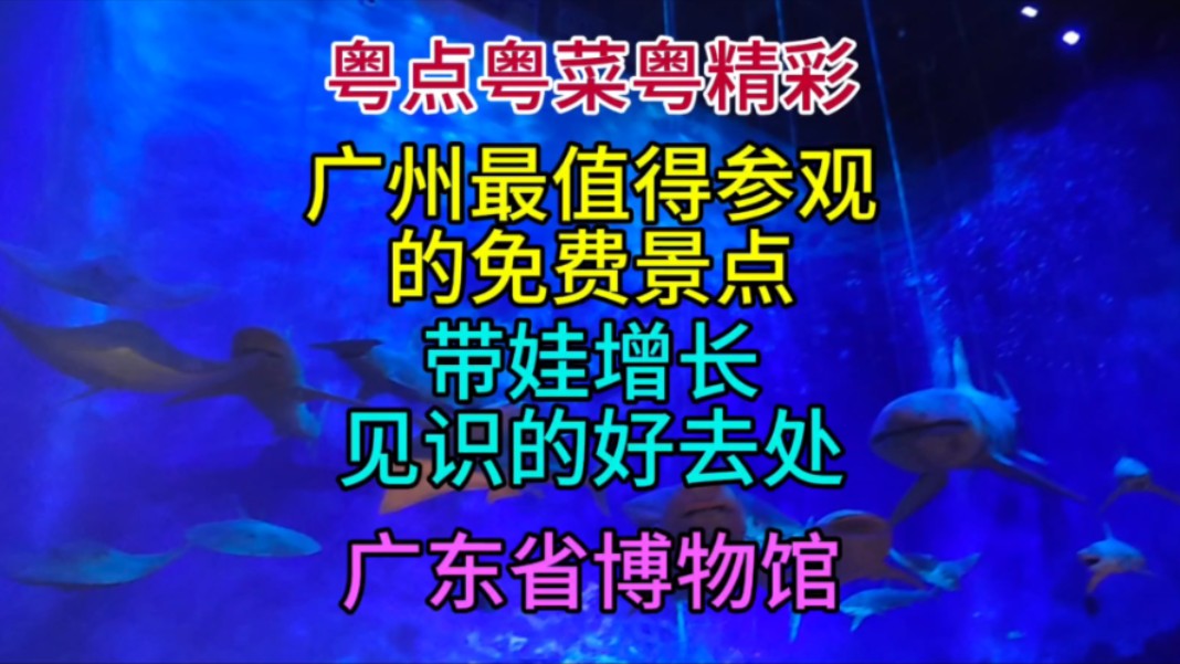 广州最值得参观的免费景点,带娃增长见识的好去处,广东省博物馆哔哩哔哩bilibili