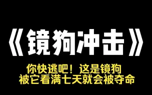 Télécharger la video: 小说推荐~《镜狗冲击》我家狗子经常通过镜子偷偷看我。 我随手发在了网上。 【啊啊好聪明。】 【好可爱！】 唯独一条评论被顶上高赞： 【你快逃吧！这是镜狗，被它看