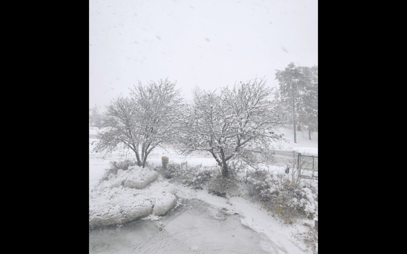 [图]雪花飘呀飘，给琴川公主的雪花