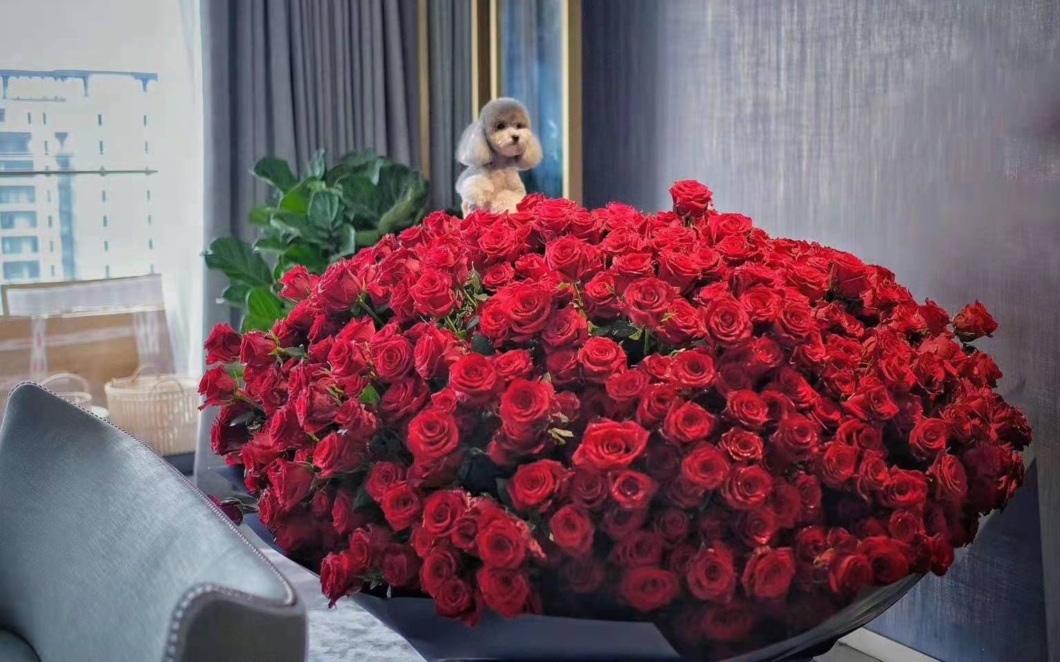 价值9999的玫瑰花桶_哔哩哔哩 (゜-゜)つロ 干杯~-bilibili