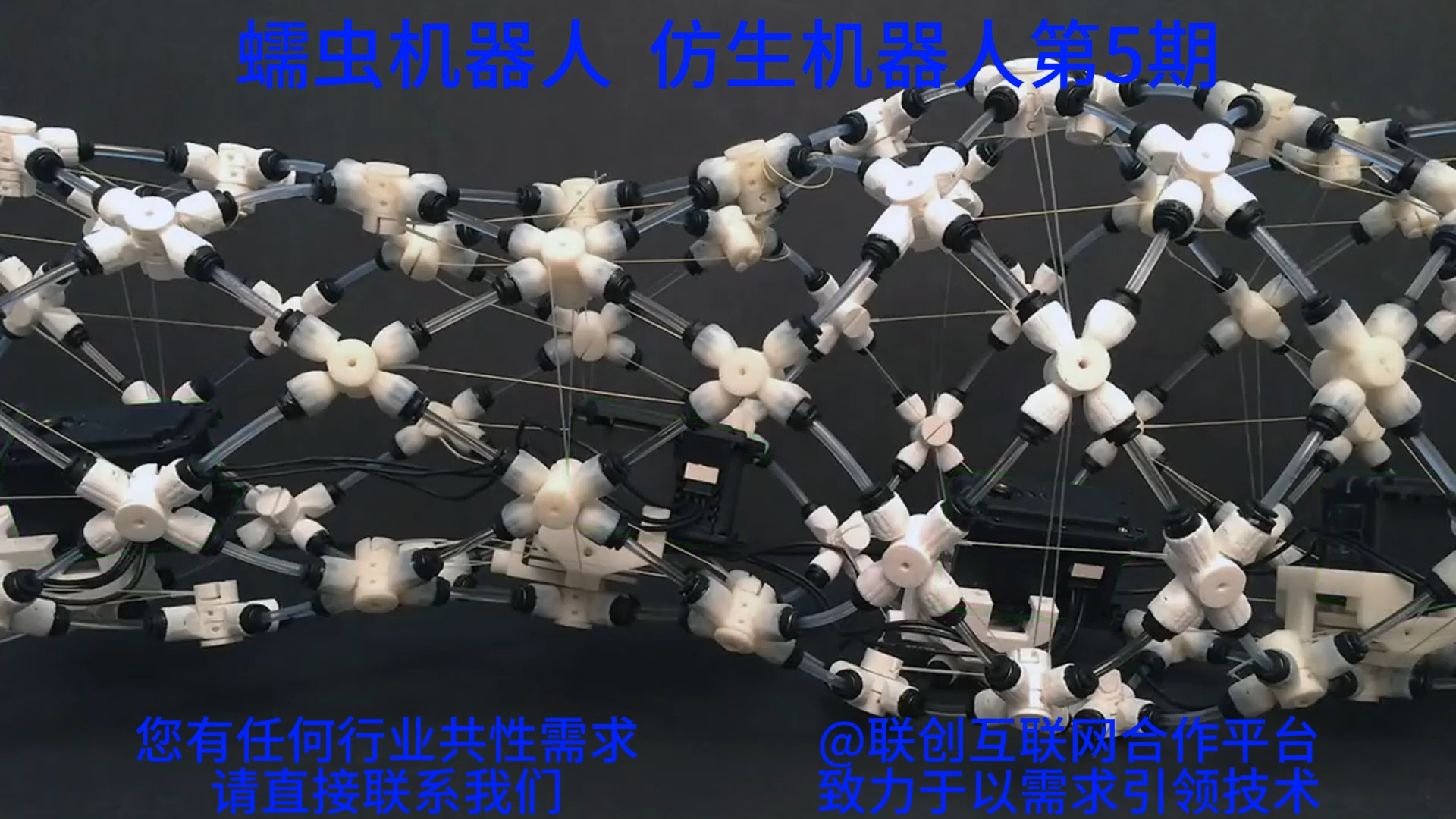 蠕虫机器人16:9(96)